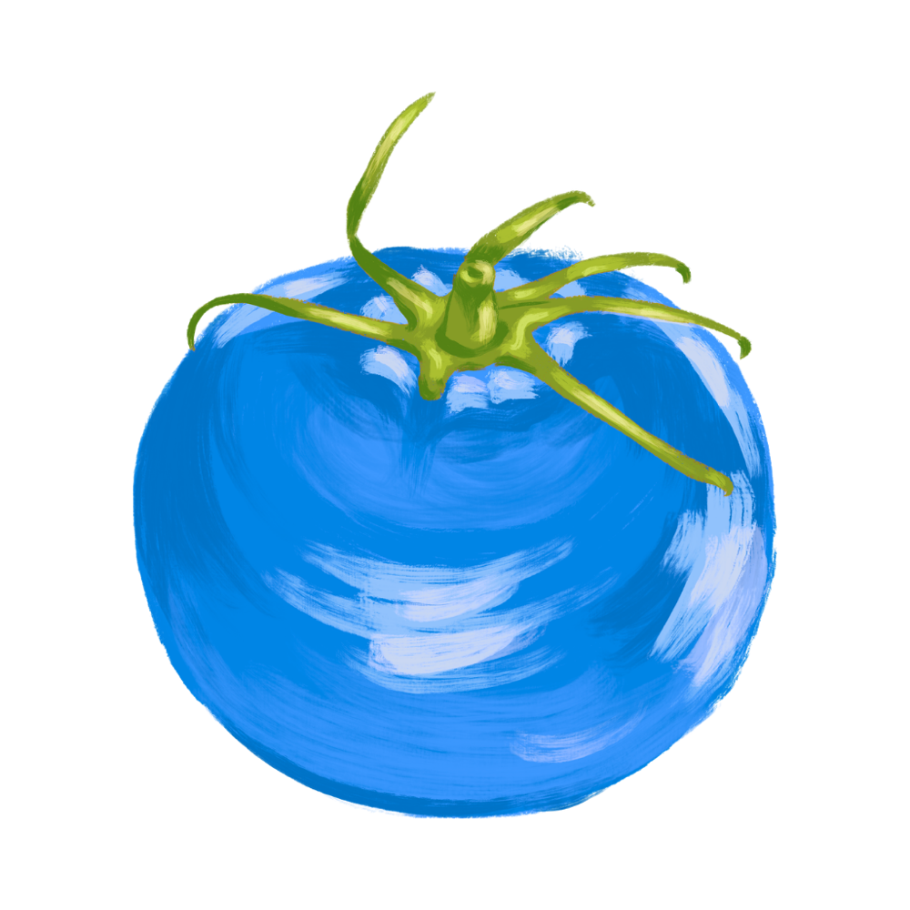 A blue tomato, painted